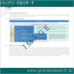 グローバルリサーチ調査レポートのイメージ
